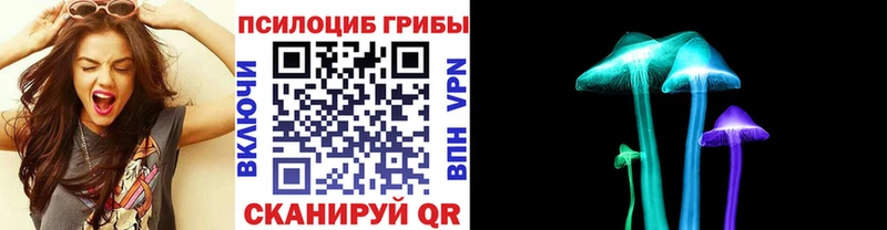цены   Кузнецк  Галлюциногенные грибы GOLDEN TEACHER 