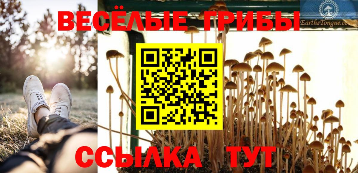 Кузнецк  Галлюциногенные грибы прущие грибы  Вход с VPN 