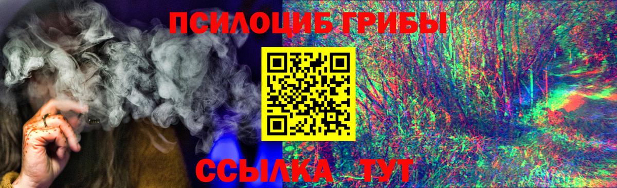 Псилоцибиновые грибы Psilocybe Кузнецк